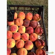 Солодкий персик гуртом - для ринку