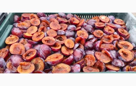 Слива заморожена