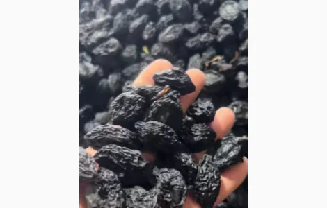 Продам сливу бездимну