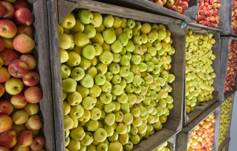 Продам яблука Екстра класу