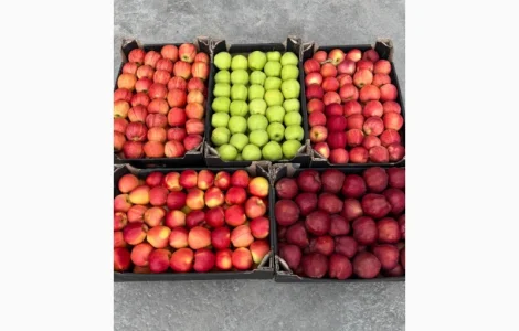 Продам яблука