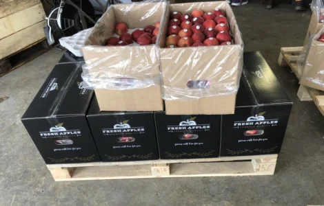 Продажа качественных бушелей для яблок от польского поставщика