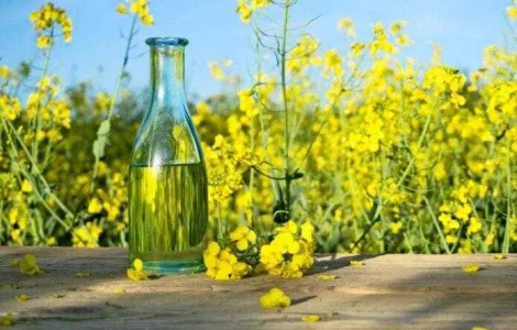 Купуємо олію ріпакову нерафіновону (самовивіз)