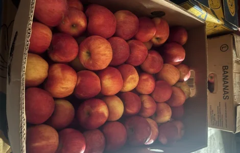 Продается яблоко Айдаред