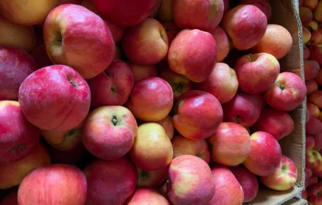 Продаются яблоки разных сортов