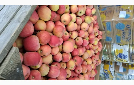 Продается яблоко сорта Флорина