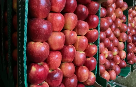 Продаются яблоки разных сортов