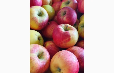 Продаются свежие яблоки из холодильника