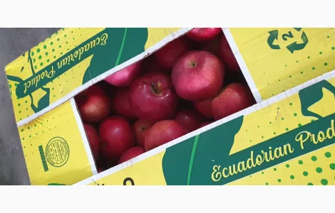 Яблука різних сортів у продажу