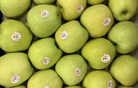 Купую яблука сорту Golden Delicious