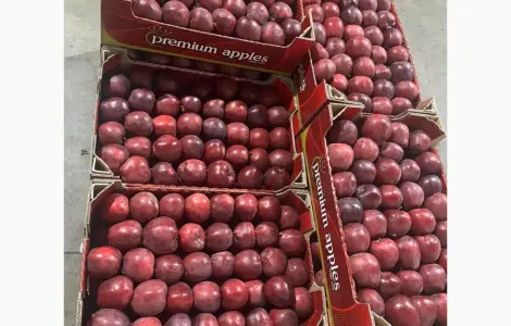 Продаються яблука сорту Джеромін