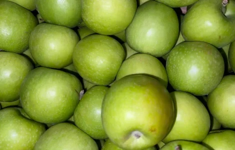 Продаються яблука оптом