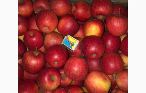 Яблука Пінова - 40 тонн за супер ціну