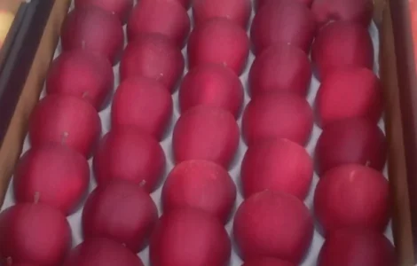 Продамо високоякісне яблуко з холодильника