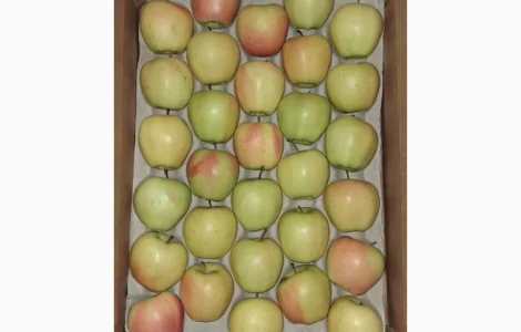 Пропонується яблуко сорту Голден (Golden Parsi da Rosa)