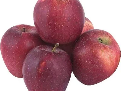 Куплю яблоки сорта Ред Чиф