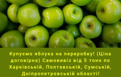 Купуємо яблука на переробку