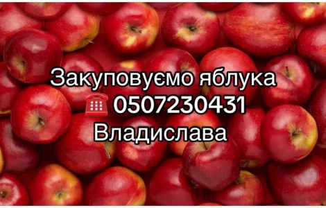 Покупаем яблоки на переработку в неограниченном количестве.Куплю яблоки