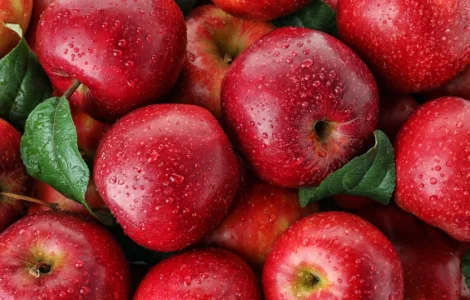 Купуємо яблука на переробку щодня