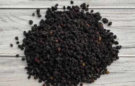 Куплю сушеную бузину (ягода бузины сухая)