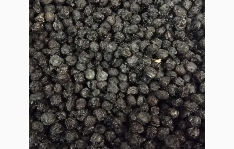 Куплю сушеную ягоду бузины