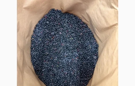 Пропонується бузина Б класу та оригінал