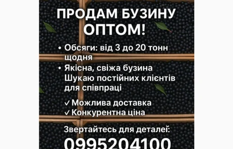 Продажа бузины оптом в любом объёме