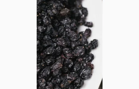 Купим сухую ягоду бузины