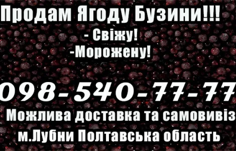 Підприємство продає гуртом ягоду бузини! Деталі за телефоном!Умови Договірні