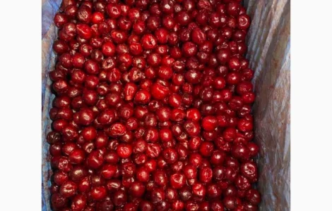 Продам заморожену вишню без кістки сезону 2025 року