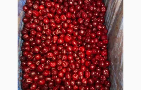 Продам заморожену вишню без кістки сезону 2025 року