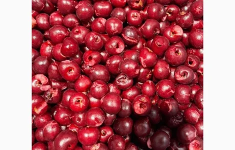 Продам вишню без кістки морожену