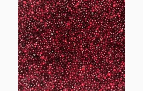 Куплю заморожену вишню з кісткою | постійно | великі обсяги