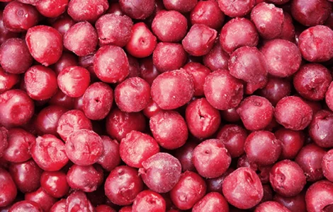 Продам Вишню