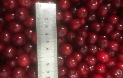 Продам вишню заморожену