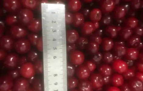 Продам вишню заморожену