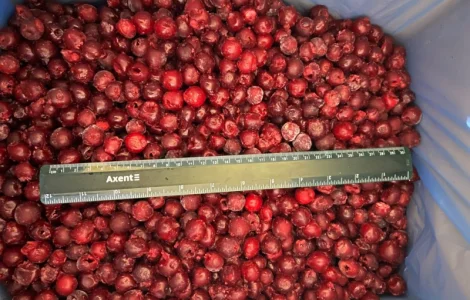 Продам вишню заморожену