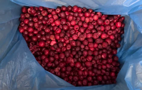 Продам заморожену вишню б/к