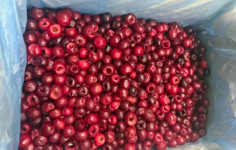 Продам заморожену вишню б/к