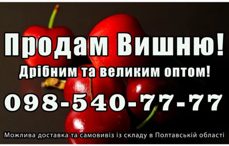 Продам вишню за договірною ціною на постійній основі
