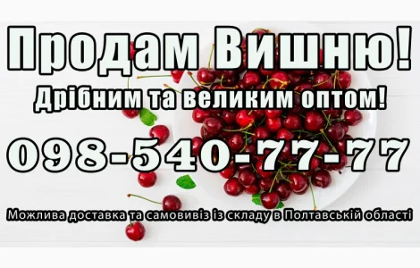 Реализую вишню