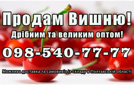Продаю високоякісну вишню на постійній основі