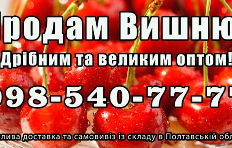 Продаю вишню