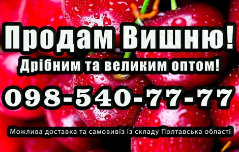 Продам вишню