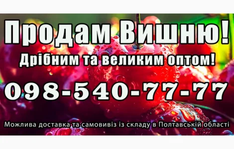 Реализую вишню