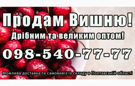 Продаю вишню 2025р.
