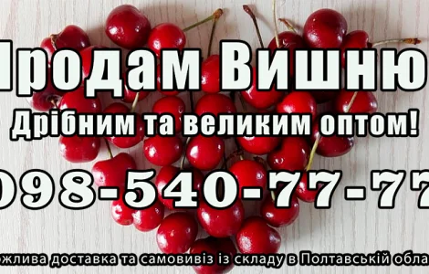 Реализую вишню