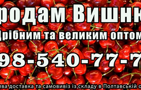 Продам вишню