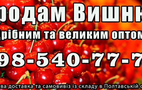 Продаю вишню