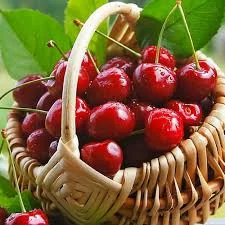 Куплю вишню